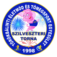 szt logo.png