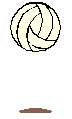 volleyball.gif