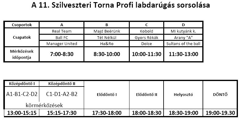 Profi_2010.JPG